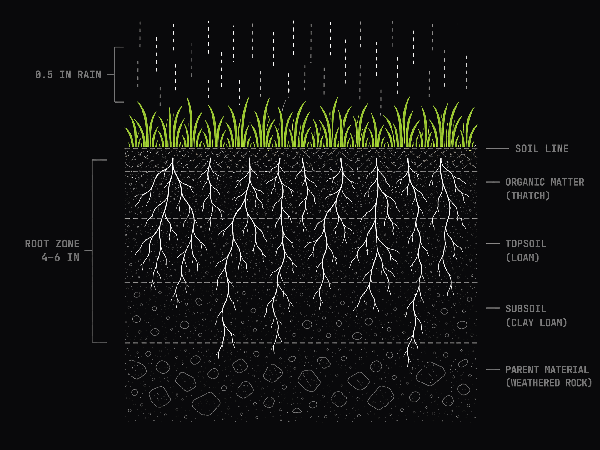 Cross-section diagram: half an inch of rain falls on grass and soaks through thatch, topsoil, and subsoil to reach the 4-to-6-inch root zone.